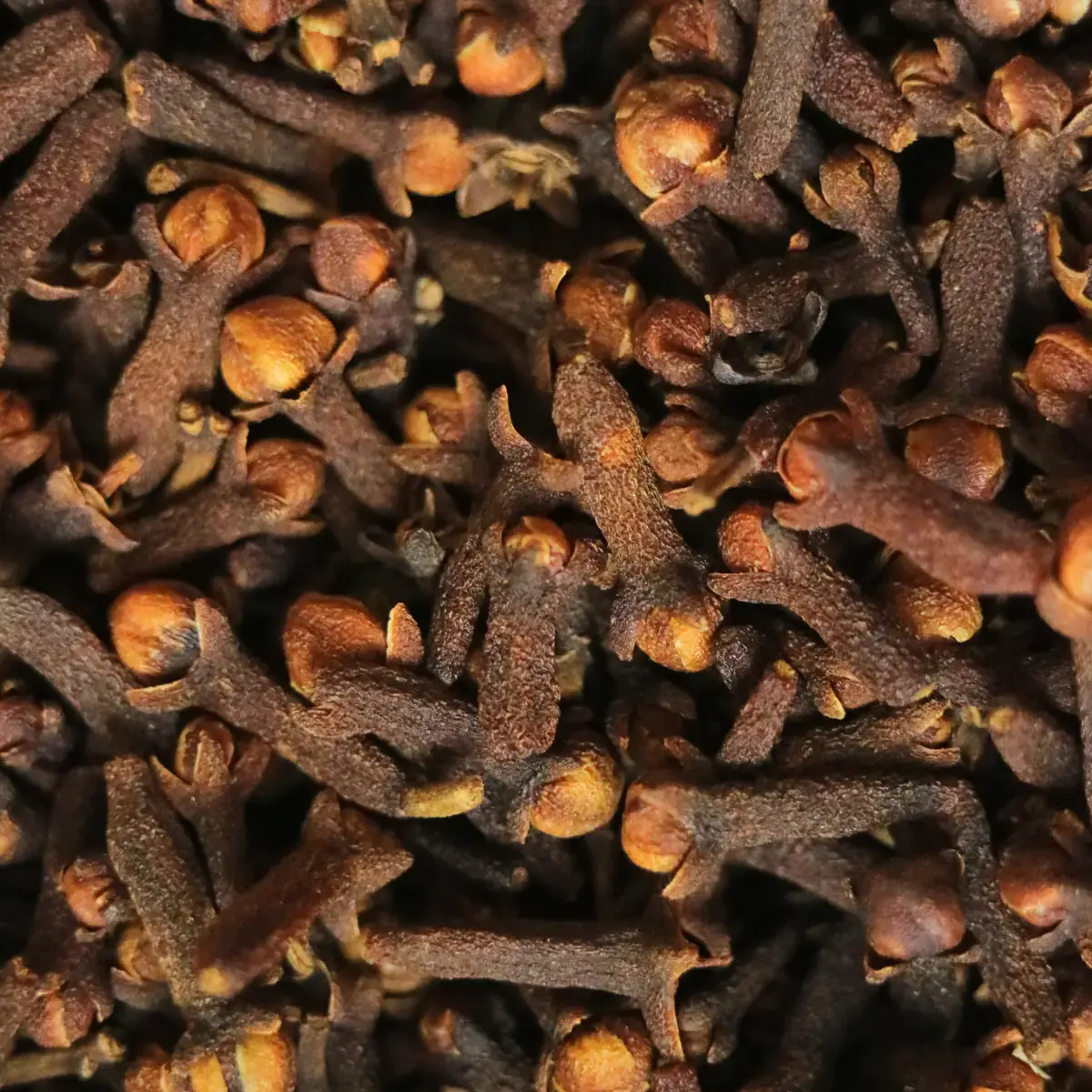 Clove